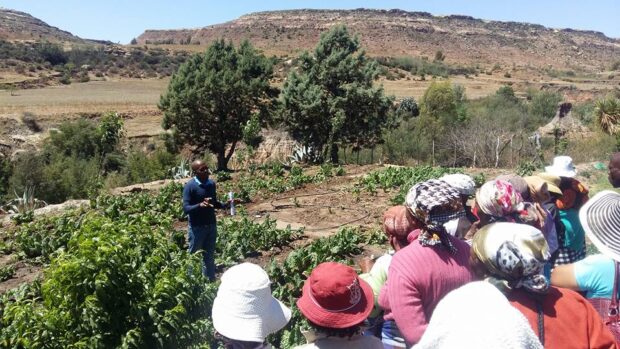 Agricultural specialist giving a talk to local farmers.