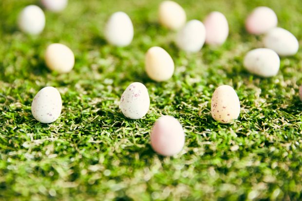 Mini eggs on grass