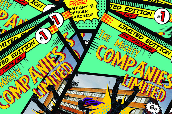 The Limited Company