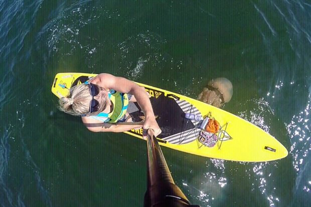 Sarah on her paddle board with a jelly fish.