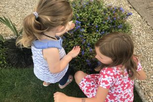 The girls looking for butterflies and bees.