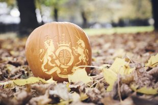 Pumpkin carved with the Companies House crest, on a leaf floor.