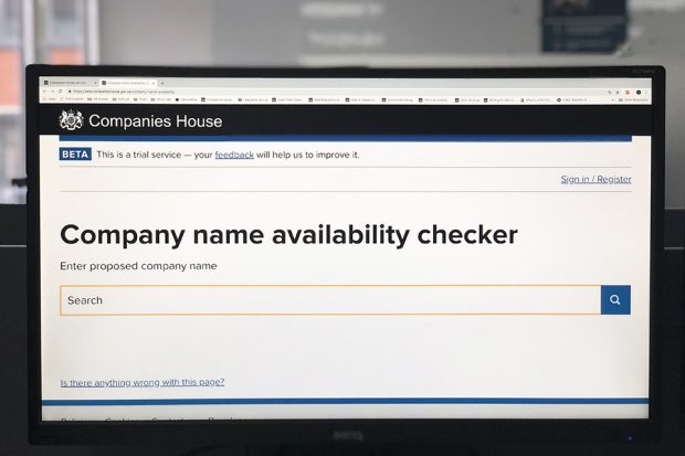 A computer screen displaying the company name availability checker.