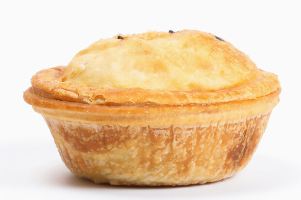 A meat pie against a plain background.