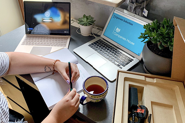 A home work station - a laptop, a charger, indoor plants and a mug of tea on a desk. 